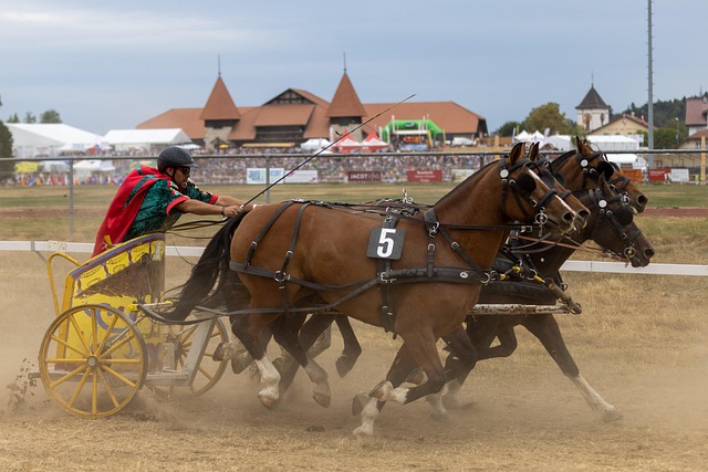 素质和拼搏 素质和拼搏
